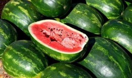 吃瓜娱乐圈素材哪里找