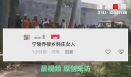 河南网友最新爆料,揭秘某神秘事件真相！