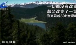 师爷说新闻爆料,揭秘新闻背后的真相与内幕