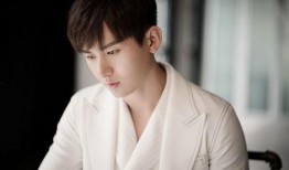 关于成毅的爆料视频,爆料视频背后的真实故事