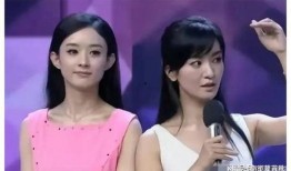 娱乐圈吃瓜指引新视频,揭秘新视频背后的惊人真相！