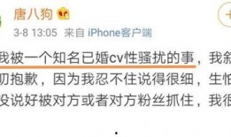 龙吟最新爆料消息是真的吗