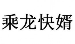 乘龙快婿粤语在线观看,浪漫喜剧，笑中带泪的爱情传奇