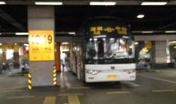 深圳汽车站爆料视频最新,突发事件引发热议！