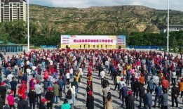 武山一中爆料事件视频,真相与争议的交织