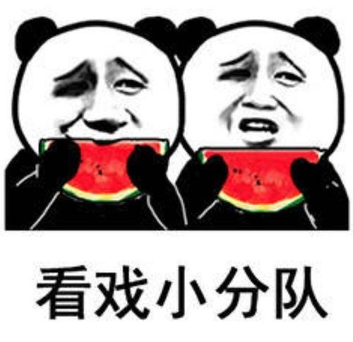 搞笑娱乐吃瓜图片表情包,笑料横生!搞笑娱乐吃瓜表情包大盘点