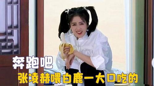 爱豆吃瓜娱乐白鹿,爱豆吃瓜娱乐背后的故事